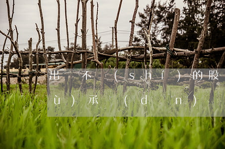 出資不實(shí)的股東對公司債務(wù)承擔(dān)補(bǔ)充責(zé)任時對于涉及出資本金的利息應(yīng)當(dāng)按照存款利率而非借款利率計(jì)算。